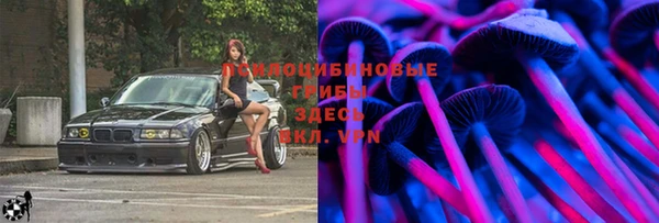 мескалин Новодвинск