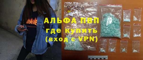 a pvp Новозыбков