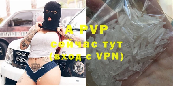 a pvp Новозыбков