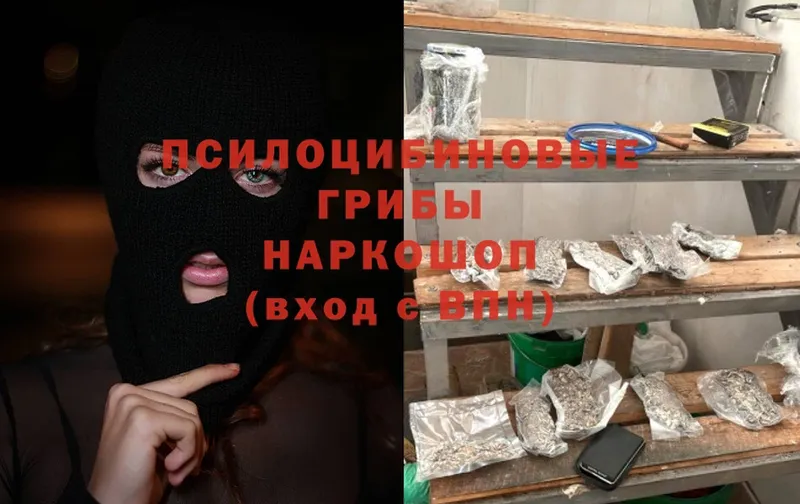 OMG ссылки  Кодинск  Галлюциногенные грибы Cubensis 